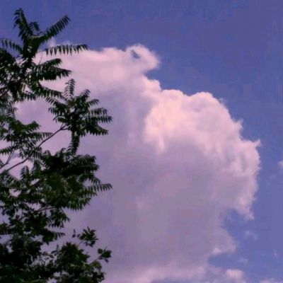 水果超人游戏下载